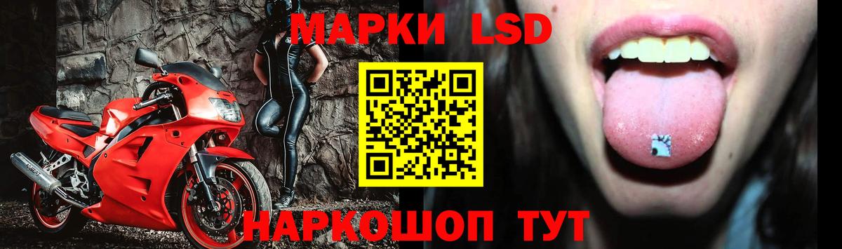 ЛСД экстази кислота  Вход с VPN  Славгород  ЛСД экстази кислота 