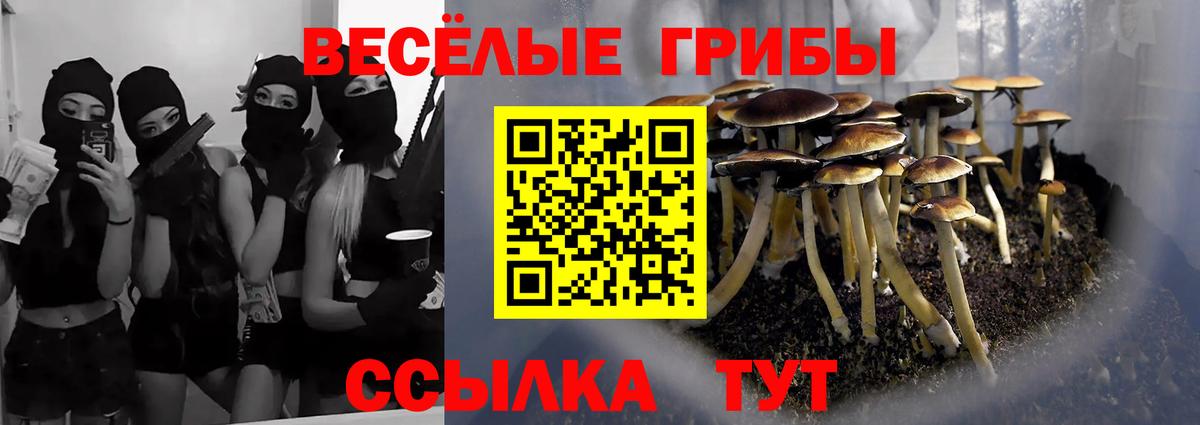 Псилоцибиновые грибы мицелий Славгород