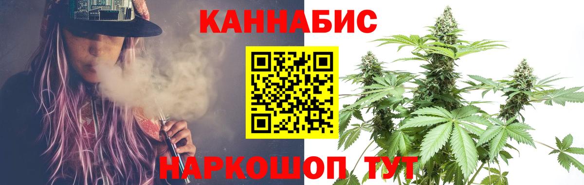 МАРИХУАНА сатива Славгород